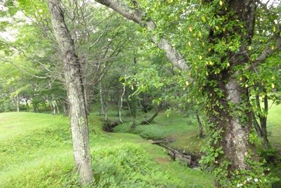 2014091111-054Creek