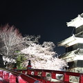 Photos: 松本城の桜まつり２
