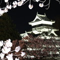 Photos: 桜祭り２