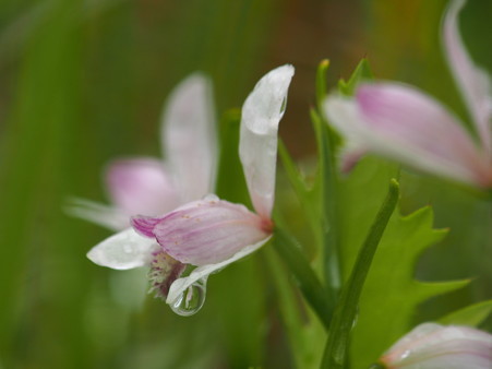 P6170064