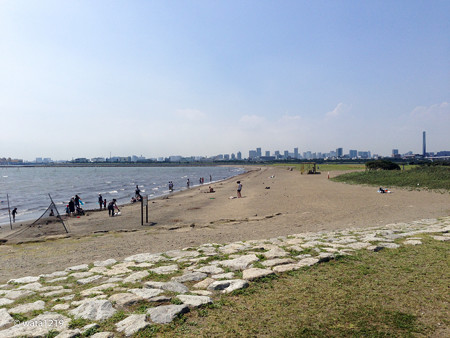 平日の葛西臨海公園4