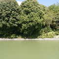 五社神古墳(ごさしこふん)(神攻皇后陵)