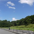 五社神古墳(ごさしこふん)(神攻皇后陵)
