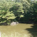 佐紀陵山古墳