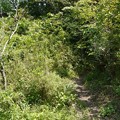千葉県富津市内裏塚古墳 千葉県富津市内裏塚古墳