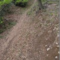 群馬県太田市朝子塚古墳