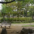 P1080112 (800x534) P1080112 (800x534)