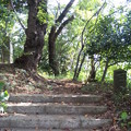 DVC00007 DVC00007