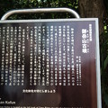 DVC00009 DVC00009