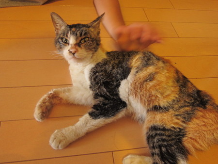 20140720 はじめまして
