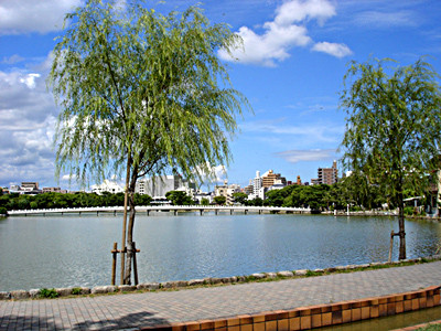 20080812_04