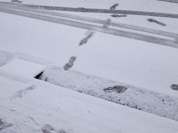 大雪2日目
