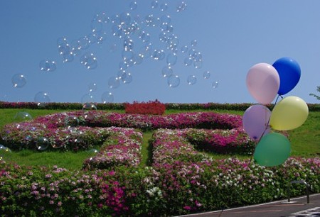 IMGP0529_0505