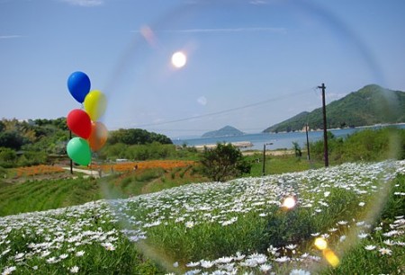 IMGP1967_0512