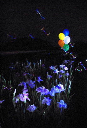 IMGP5679_0708
