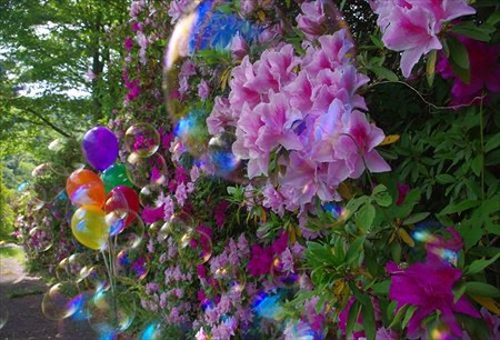 IMGP5743_0511