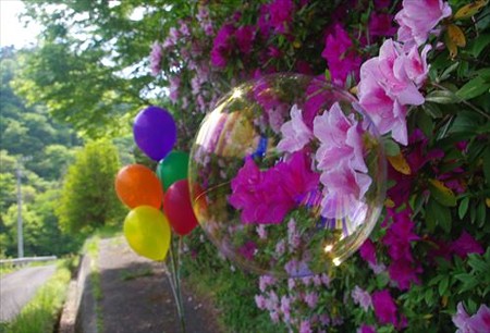 IMGP5956_0511
