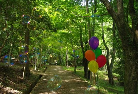 IMGP6002_0511