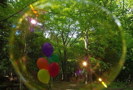 IMGP6064_0511