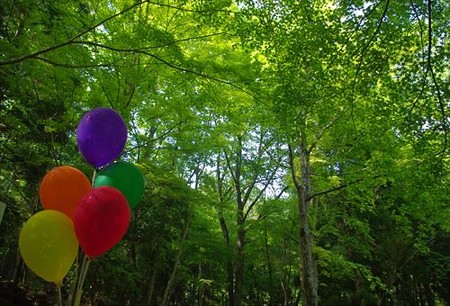 IMGP6161_0511