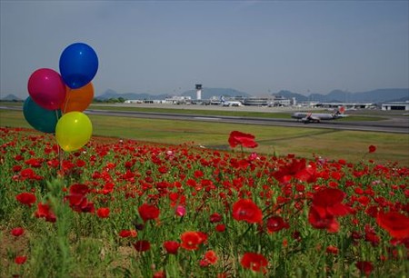 IMGP7064_0517
