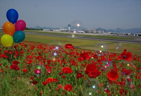 IMGP7084_0517