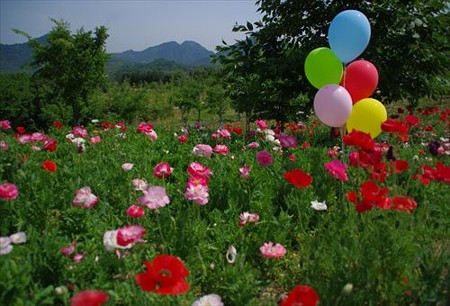 IMGP8149_0524