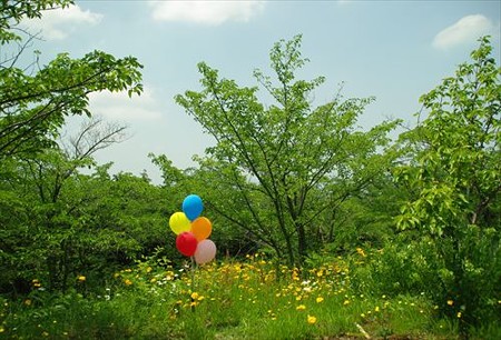 IMGP8570_0525