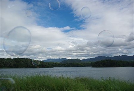 IMGP2875_0810