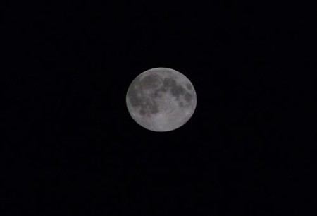 DSCF1034_0810