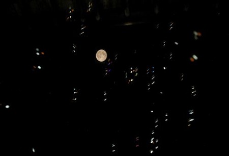 IMGP2647-1_0811