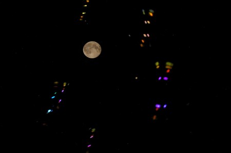 IMGP2627-1
