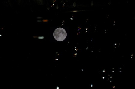 IMGP2648-1