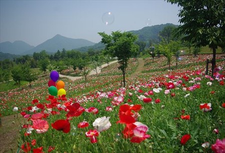 IMGP9228_0531