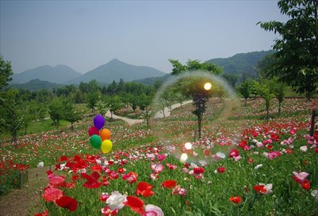 IMGP9251_0531