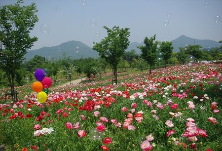 IMGP9352_0531