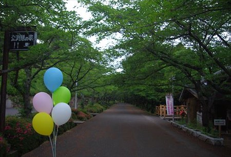 IMGP7319_0601