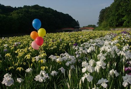 IMGP0013_0607
