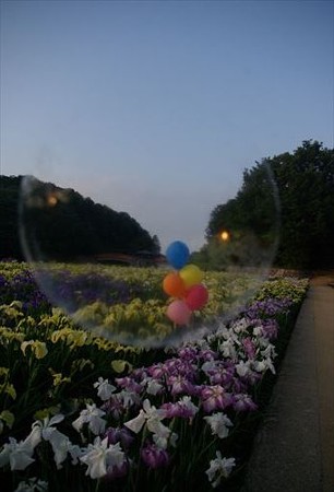 IMGP0247_0607