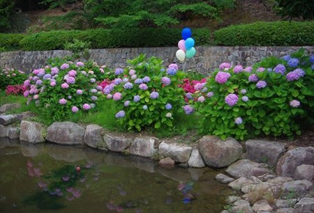 IMGP9649_0608