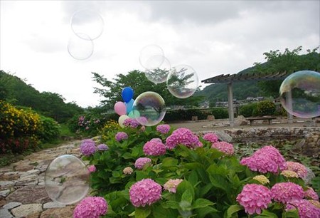 IMGP9690_0608