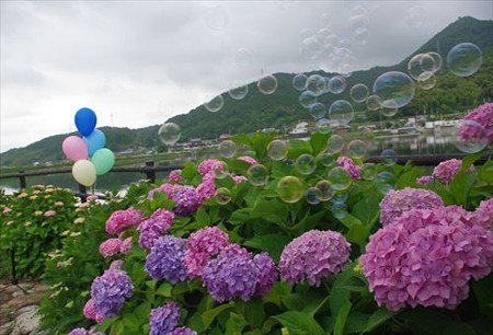 IMGP9717_0608