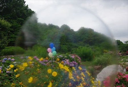 IMGP9751_0608