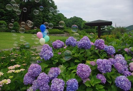 IMGP9873_0608