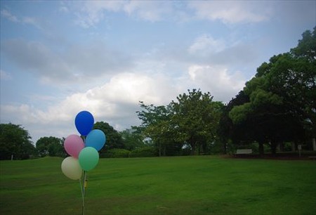 IMGP0208_0608
