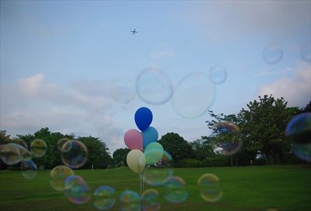 IMGP0334_0608