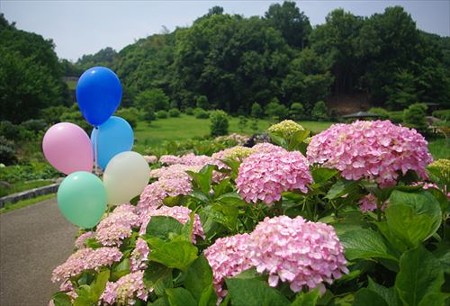 IMGP0580_0614