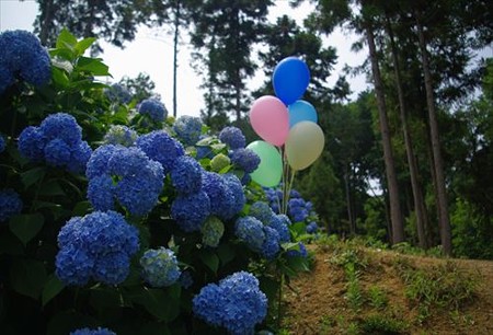 IMGP0591_0614