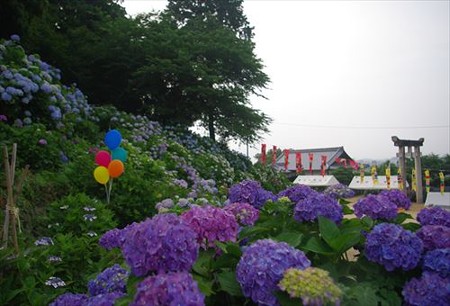 IMGP1191_0614