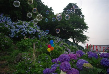 IMGP1228_0614